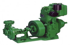 5HP Diesel Engine Pump Set by Diesel Power System