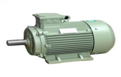 Electric Induction Motor by Patidar Electic & Pumps