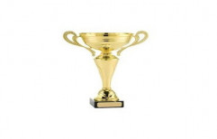 Golden Award Cup by Scorpion Ventures (OPC) Private Limited