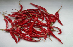 Guntur Dry Red Chilli by Krison Exports
