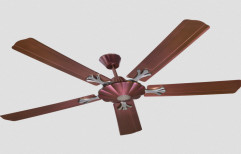 Havells Pentaforce Special Finish Ceiling Fan by Dashmesh Hardware Store