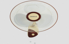 Havells Swanky Brown Wall Fan by Dashmesh Hardware Store