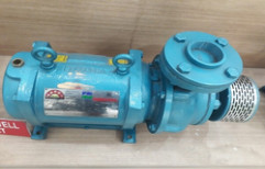 Horizontal Water Pump Motor by Mahendra Pumps
