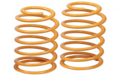 Precision Coil Spring by Maxima Resource