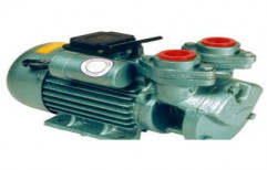 Rotary Self Priming Pump by Delton Industries