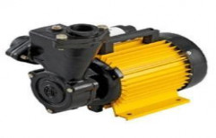 Self Priming Pump by Delton Industries