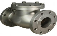 SS Brook Check Valve by Flow Control Engineers
