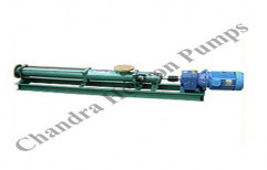 Stainless Steel Progressive Cavity Pump by Chandra Helicon Pumps Private Limited