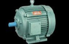 Three Phase Induction Motors by M/S Tulsidas Gupta Machinery Stores