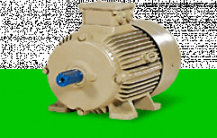 Three Phase Induction Motors by Bharat Bijlee Limited