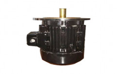 Vertical Motor by Sai Krupa Electric Motors Company