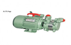 0.75HP Monoblock Pump (single phase) by Deepsun Industries