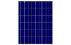 250 Watt  Solar Panel by Trident Solar