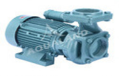 Ace 300L Monoblock Pump by Pioneer Products