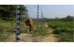Agriculture Solar Fencing by Pramod Electronics And Steel Furniture