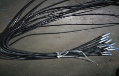 Cable by Sizer Pumps & Motors