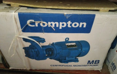 Crompton pumps by Surya & Sons