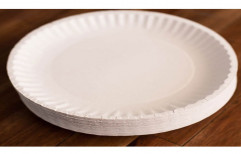 Disposable Paper Plate by Ramani Packaging