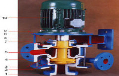 Glandless Pump by Darflow Enterprise