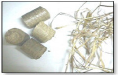 Grass Briquettes by Ovn Bio Energy Private Limited