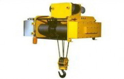 Hoist Crane by Sree Krishna Engineering & Service