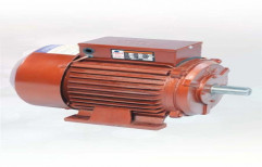 Industrial Motor by Savalia Electricals