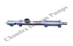 Sanitary Screw Pump by Chandra Helicon Pumps Private Limited