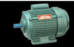 Single Phase Induction Motors by Laxmi Electrical Works