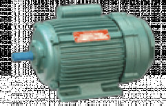 Single Phase Induction Motors by Amit K Mistry