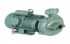 Single Phase Monoblock Pump   by Leader Electric