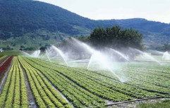 Sprinkler Irrigation System by Rachel Agro Marketing