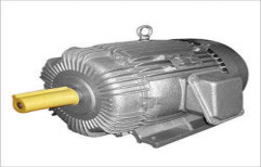 A.C. Induction Motor by Sadguru Electric Industries