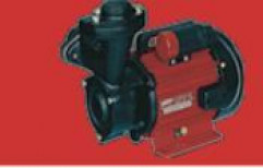 Domestic Mini Monoblock Pumps by Sri Andal & Company