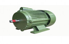 Electric Motor by Arempee Compressors Private Limited