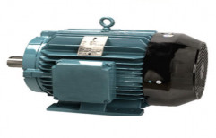Electrical Motor by Lokesh Electricals Pvt. Ltd.