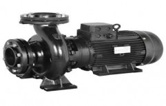 End Suction Pump 50Hz by Fluidline Systems
