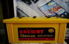 Escort Tubular Gold 150 Inverter Battery by Mega Power System