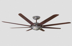 Havells Octet Special Finish Ceiling Fan by Dashmesh Hardware Store