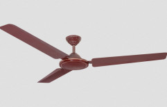 Havells Pacer Regular Ceiling Fan by Dashmesh Hardware Store