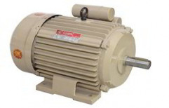 Heavy Duty Induction Motor by Soham Electricals