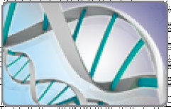 Nucleic Acid by Grace Life Tech Private Limited
