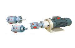 Rotary Pumps by Lubsa Multilub Systems Private Limited