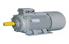 Three Phase Induction Motors by Bhagvati Electric