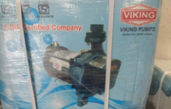 Viking Pumps by The Raj Traders