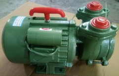 0.75 HP pump by Bhagvati Electric