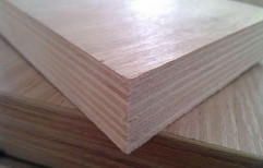Century Plywood Sheet by Shakti Ply & Hardware