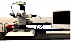 Fluorescence Stereo Microscope by Labline Stock Centre