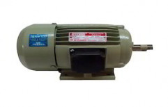 Induction Motor by Hi-power Motors