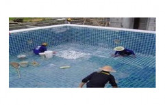 Pool Tiling Services by Dolphin Pools