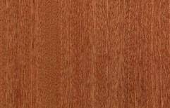 Sapeli Timber by Pyramid Ply  Wood Products Private Limited